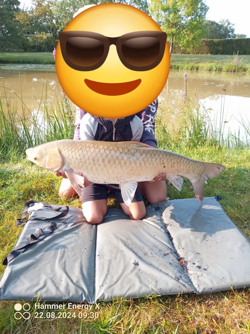Cabane de pêcheur sur étang d'1 hectare à 30 min de Nantes