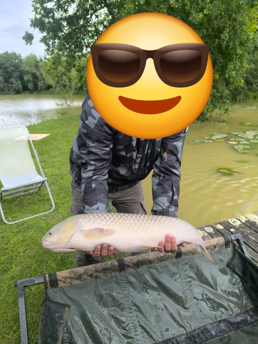 Cabane de pêcheur sur étang d'1 hectare à 30 min de Nantes