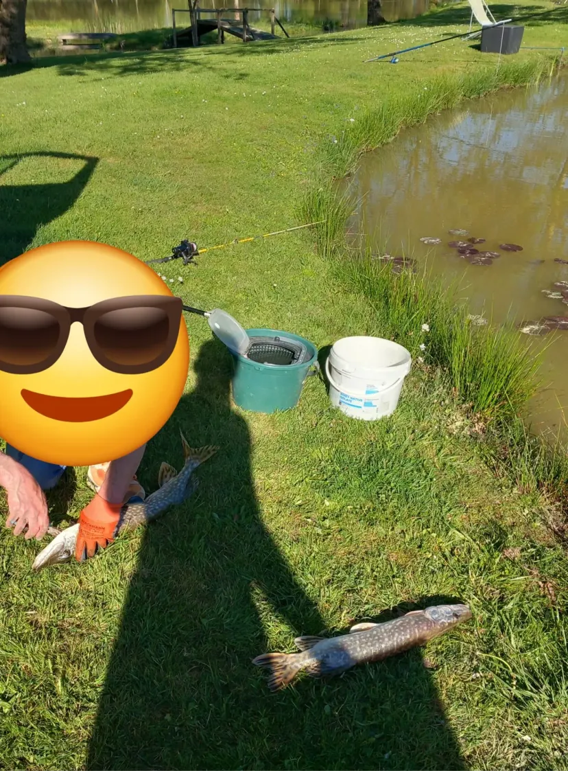 Cabane de pêcheur sur étang d'1 hectare à 30 min de Nantes