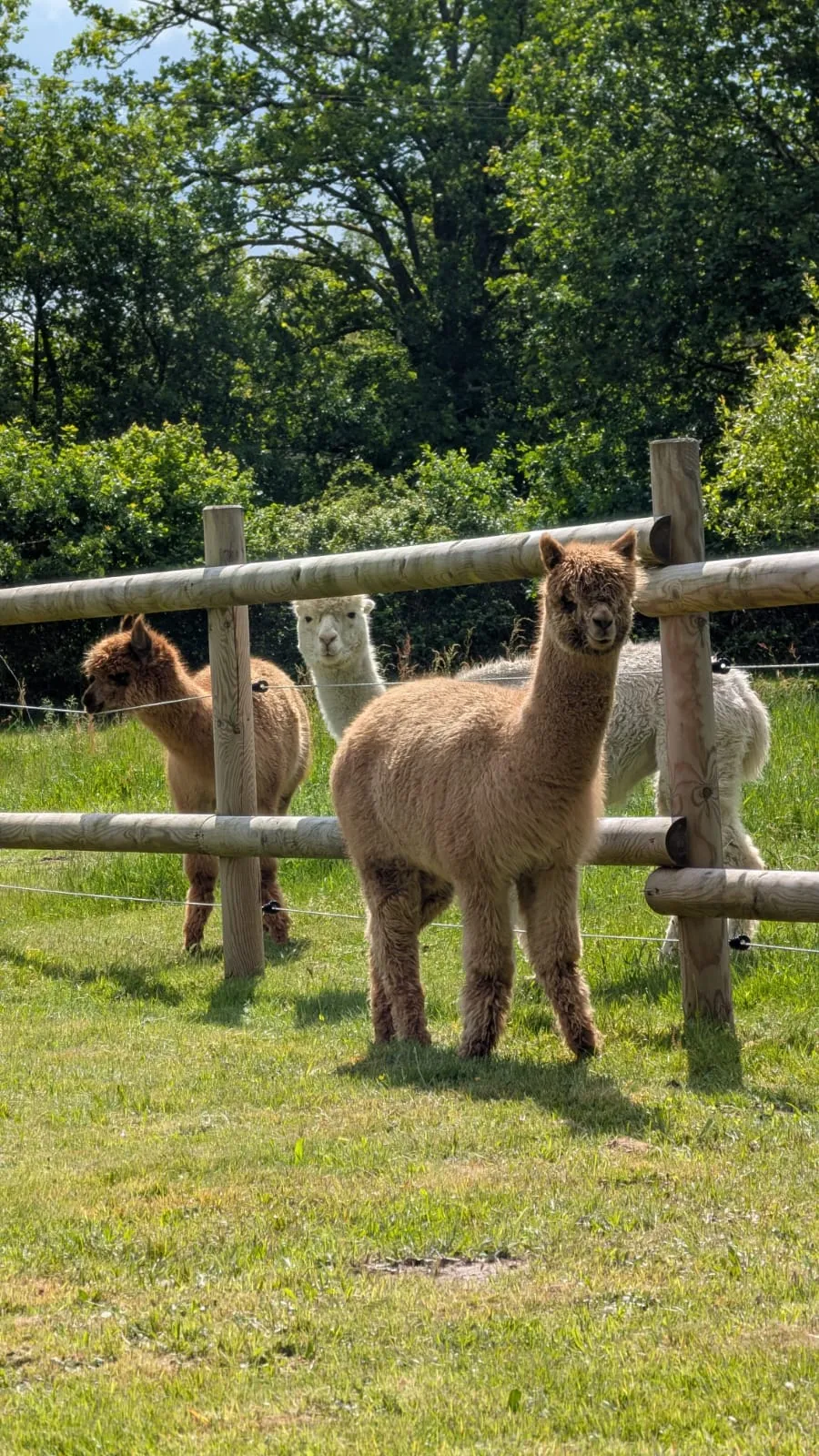 Séjour en Centre-Val de Loire – 5 personnes – Ferme avec accès à étang et rivière