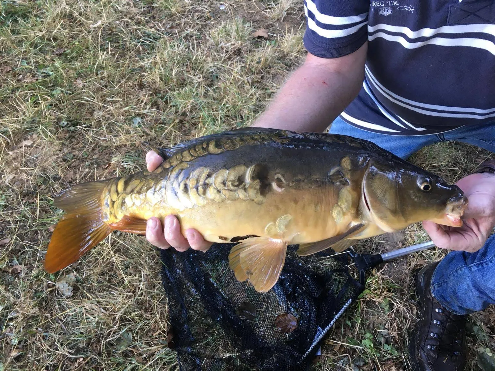 Gîte de pêche de charme au bord d'un étang de 1,5 ha pour 6 personnes