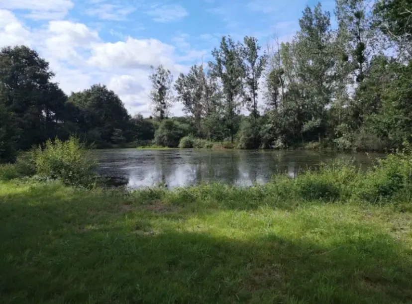 Sologne – Pêche à la journée en étang privatif sauvage