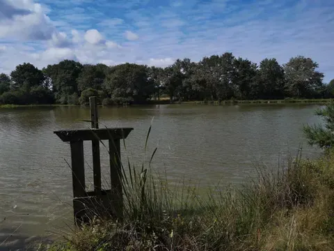 Sologne – Pêche à la journée en étang privatif sauvage