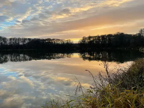 Sologne – Pêche à la journée en étang privatif sauvage