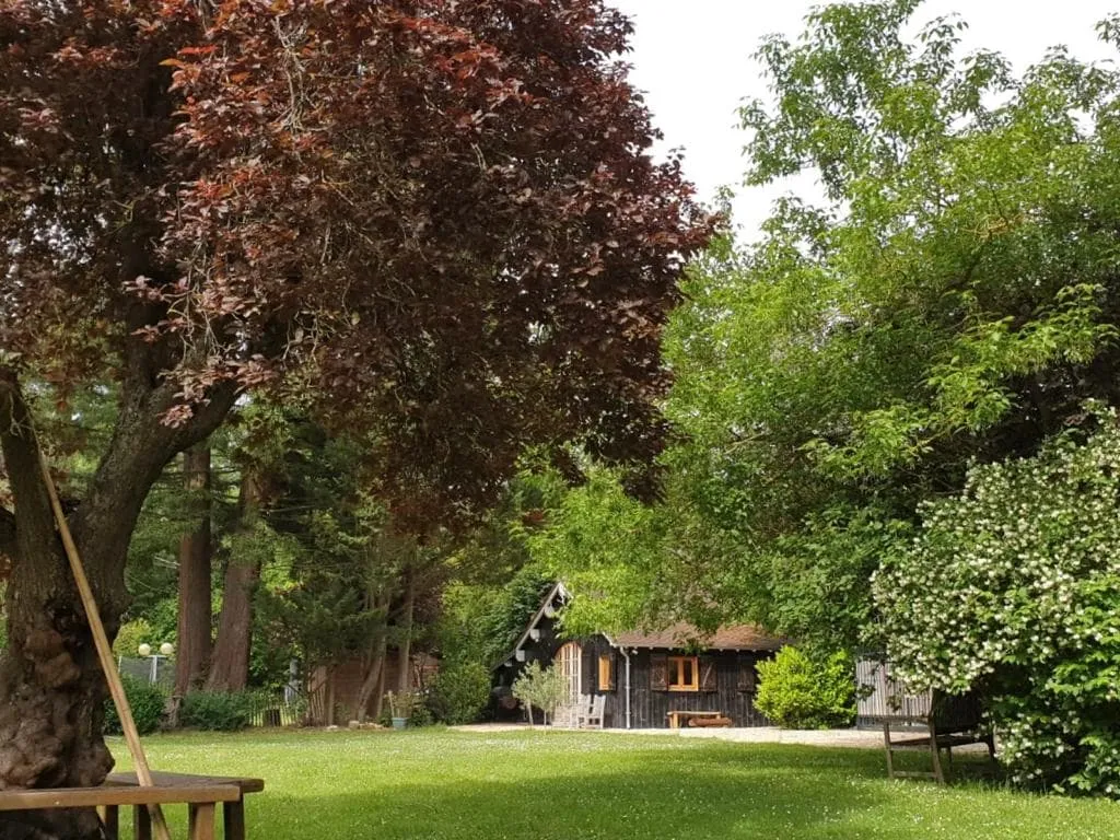 Retraite sauvage et pêche au bord de la Seine dans un chalet authentique de 40 m² à 1 h de Paris