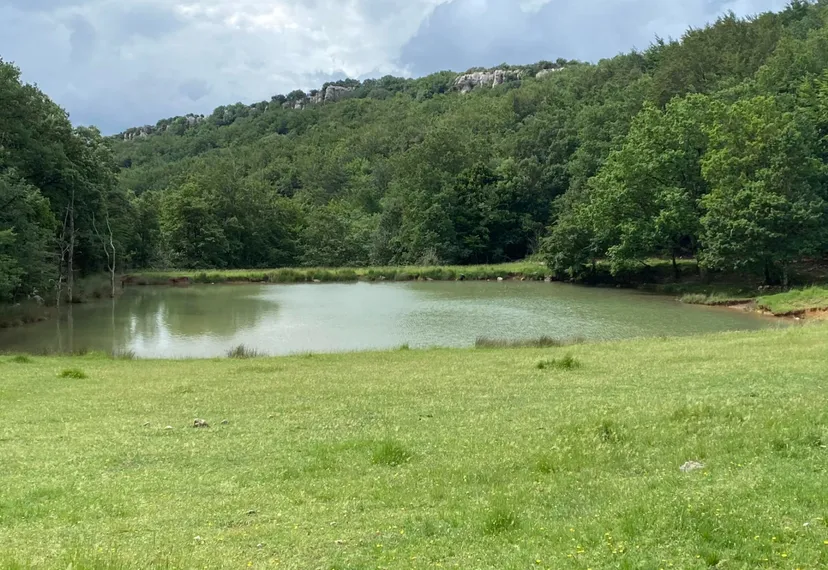 Séjour nature et pêche en famille en gîte sur un domaine sauvage de 300 ha