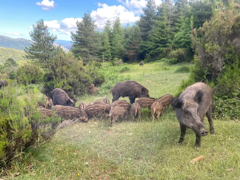 Séjour nature et pêche en famille en gîte sur un domaine sauvage de 300 ha