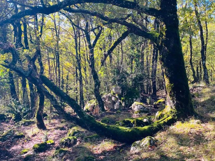 Expérience sauvage et pêche en chambre d'hôtes au cœur d’un domaine de 300 ha à 1 h de Perpignan