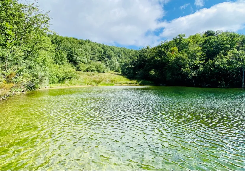 Expérience sauvage et pêche en chambre d'hôtes au cœur d’un domaine de 300 ha à 1 h de Perpignan