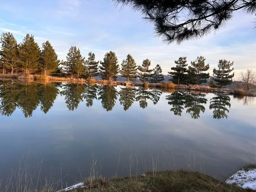 Chalet en bois et pêche au milieu des cerfs sur un domaine de 300 ha à 2h30 de Montpellier