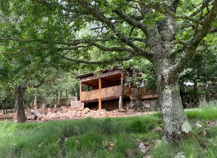 Chalet en bois et pêche au milieu des cerfs sur un domaine de 300 ha à 2h30 de Montpellier