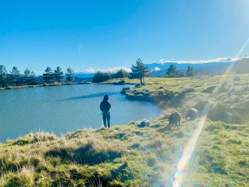 Chalet en bois et pêche au milieu des cerfs sur un domaine de 300 ha à 2h30 de Montpellier