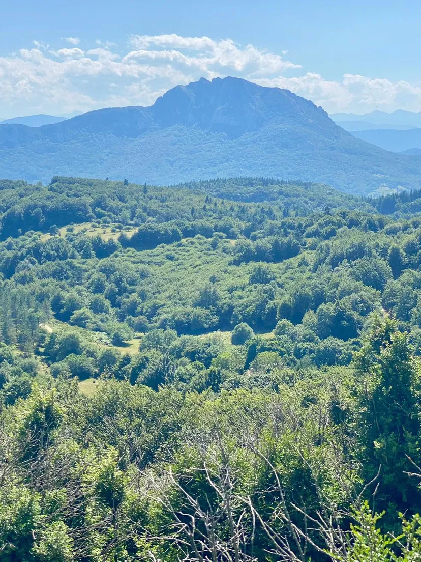 Chalet en bois et pêche au milieu des cerfs sur un domaine de 300 ha à 2h30 de Montpellier