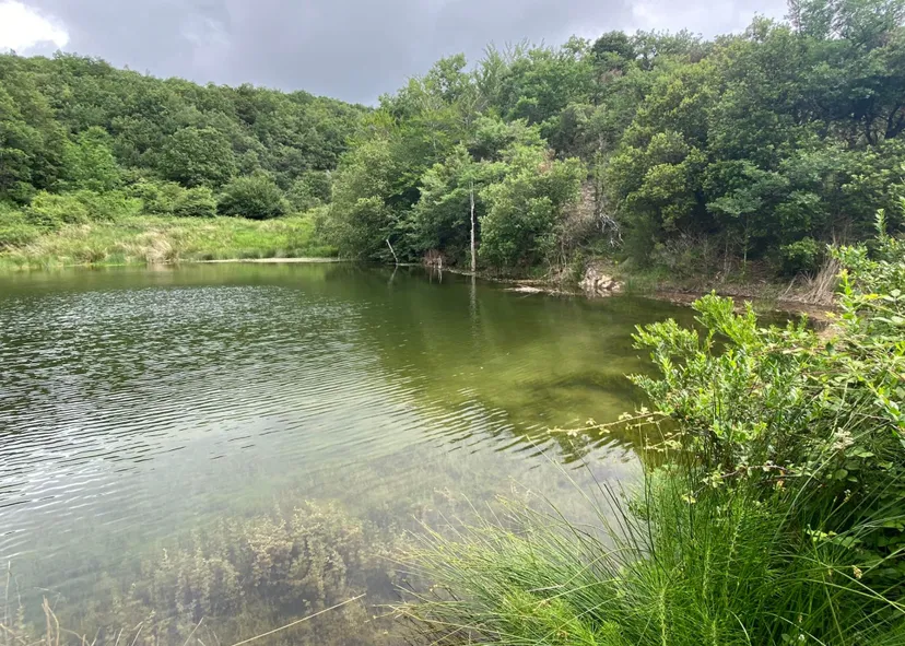 Chalet en bois et pêche au milieu des cerfs sur un domaine de 300 ha à 2h30 de Montpellier