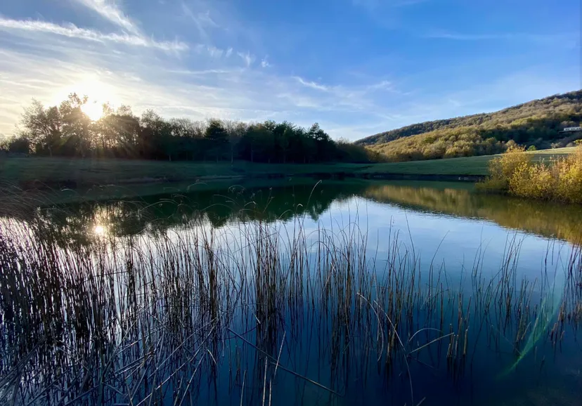Chalet en bois et pêche au milieu des cerfs sur un domaine de 300 ha à 2h30 de Montpellier
