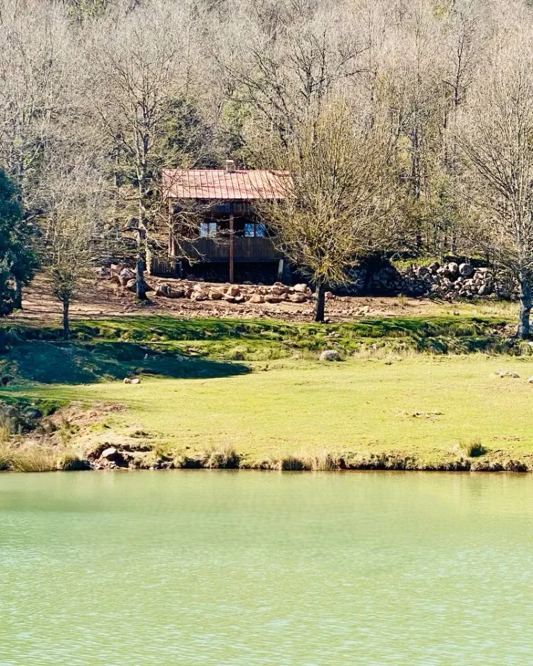 Chalet en bois et pêche au milieu des cerfs sur un domaine de 300 ha à 2h30 de Montpellier