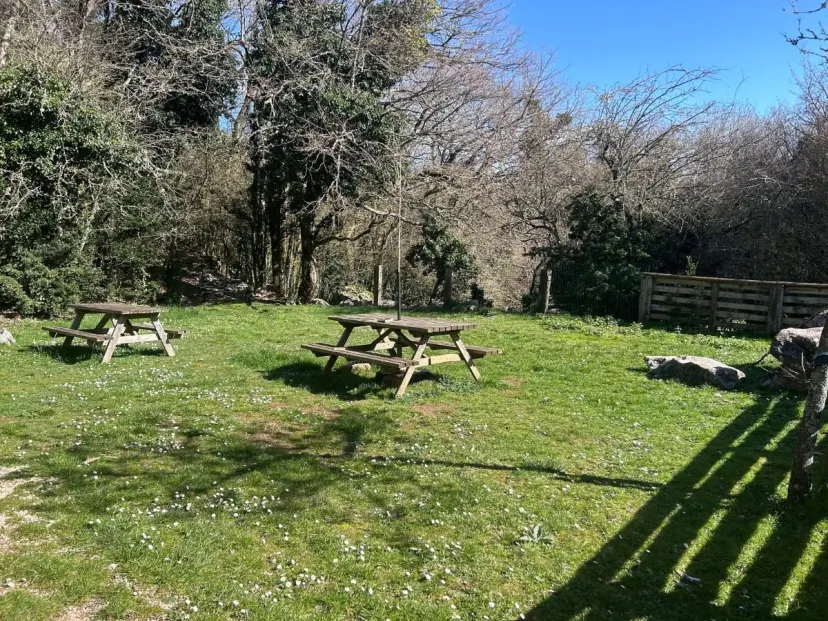Gîte familial entouré d'animaux à 1h30 de carcassonne