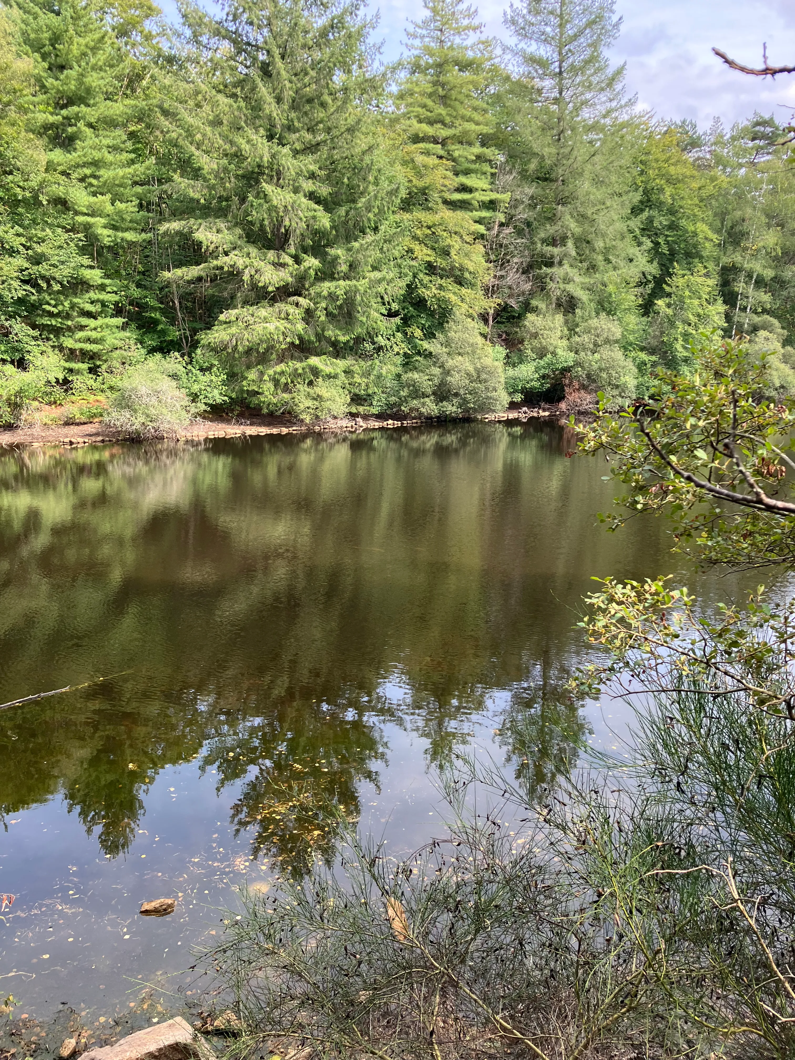 Fishing pond of 2.47 ac in Haute-Vienne in the middle of nature