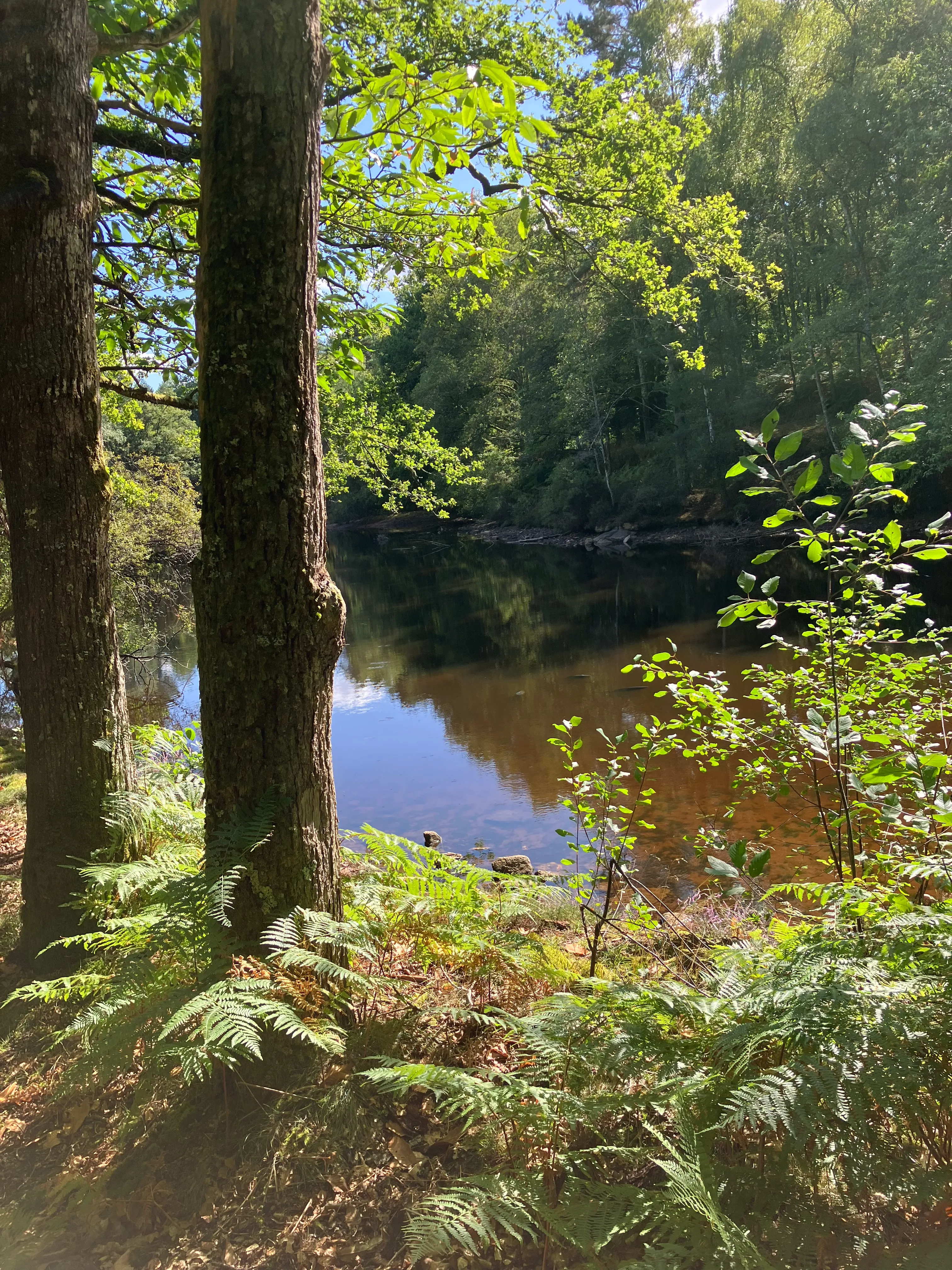 Fishing pond of 2.47 ac in Haute-Vienne in the middle of nature