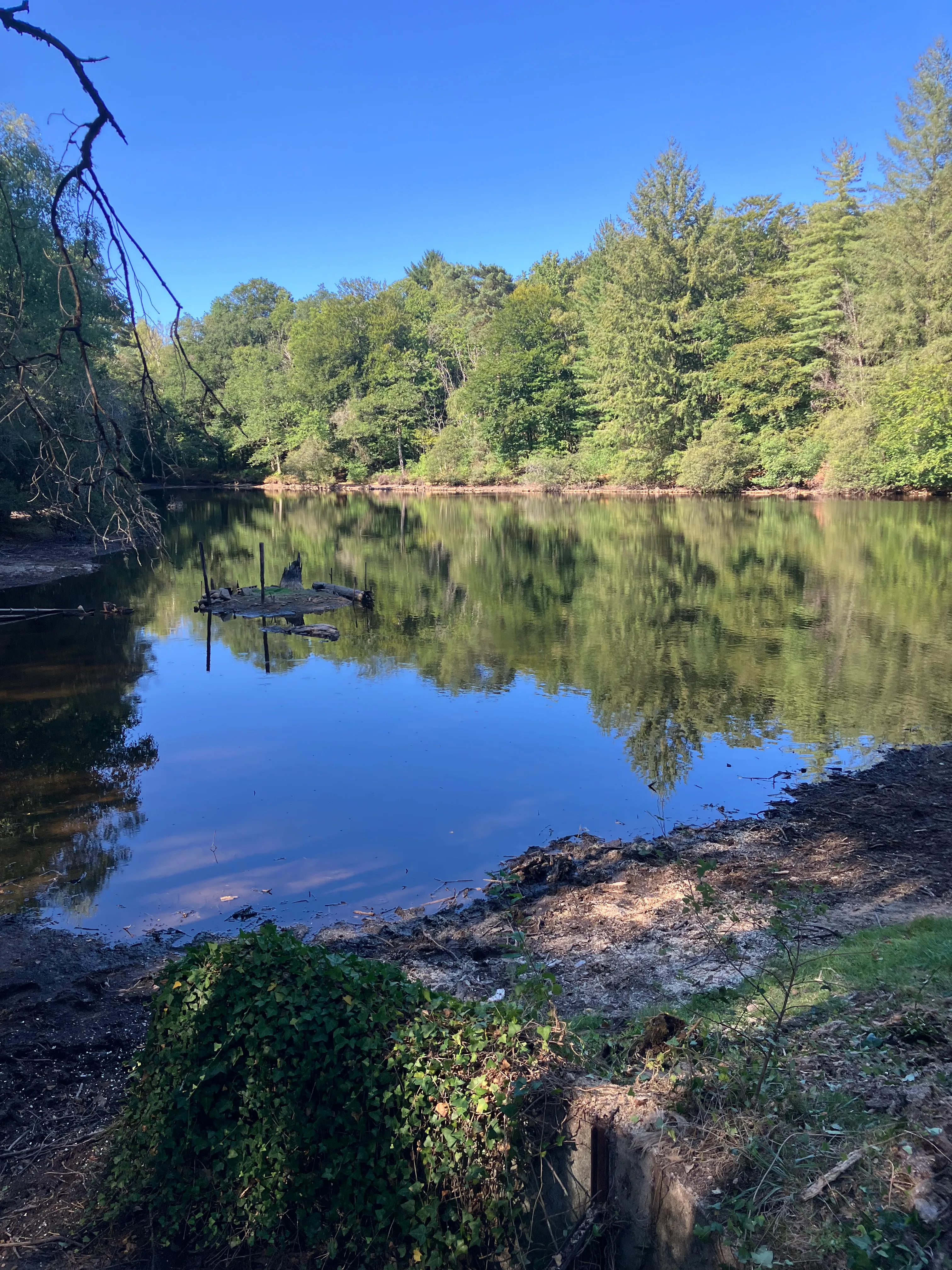 Fishing pond of 2.47 ac in Haute-Vienne in the middle of nature