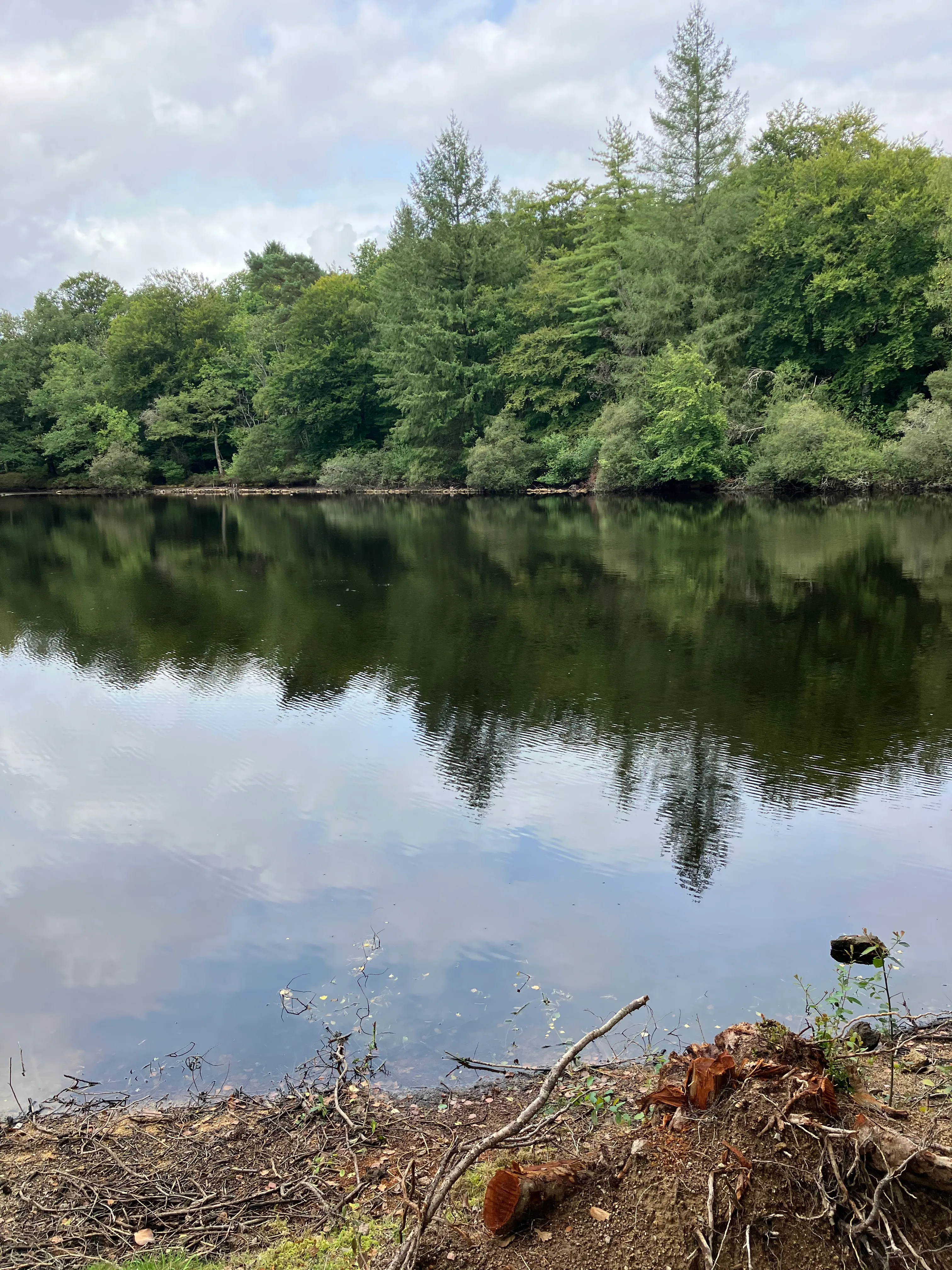 Fishing pond of 2.47 ac in Haute-Vienne in the middle of nature