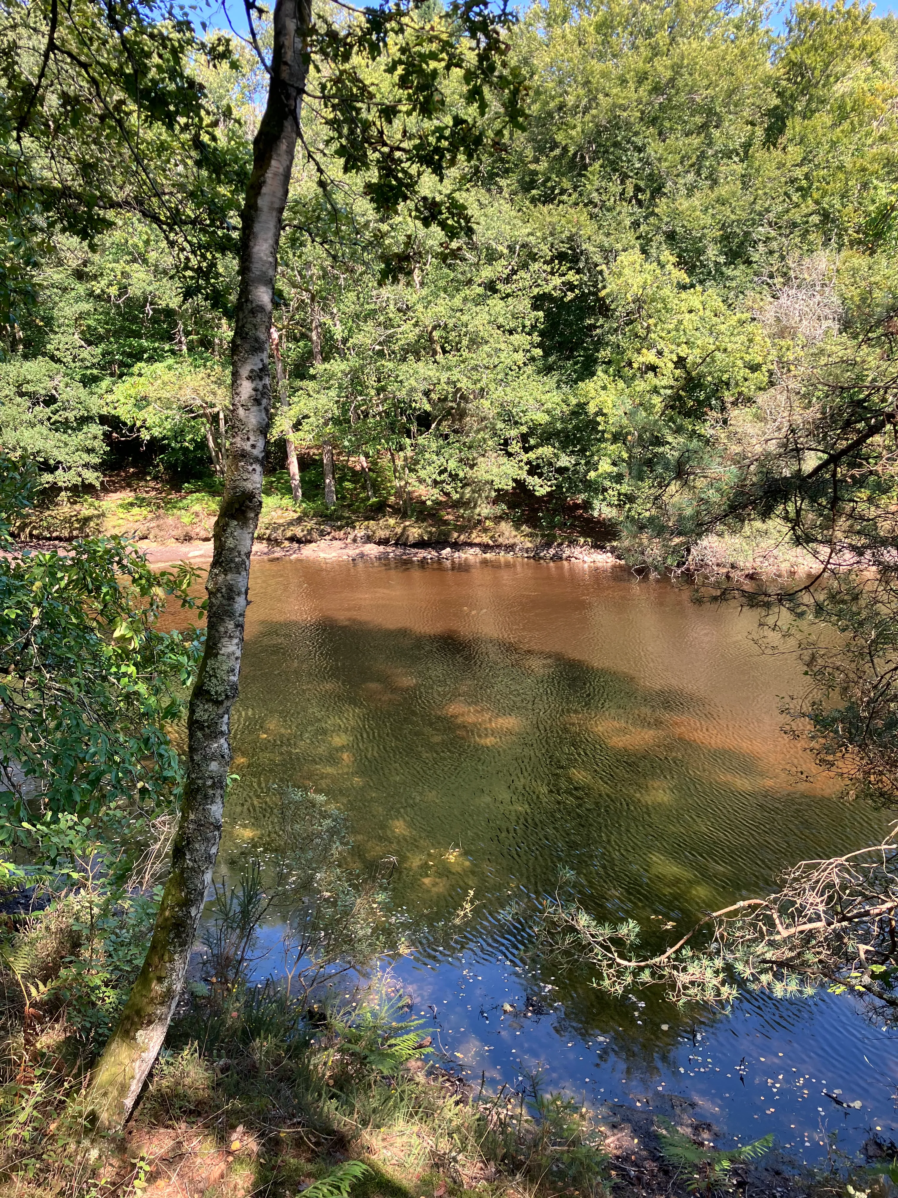 Fishing pond of 2.47 ac in Haute-Vienne in the middle of nature