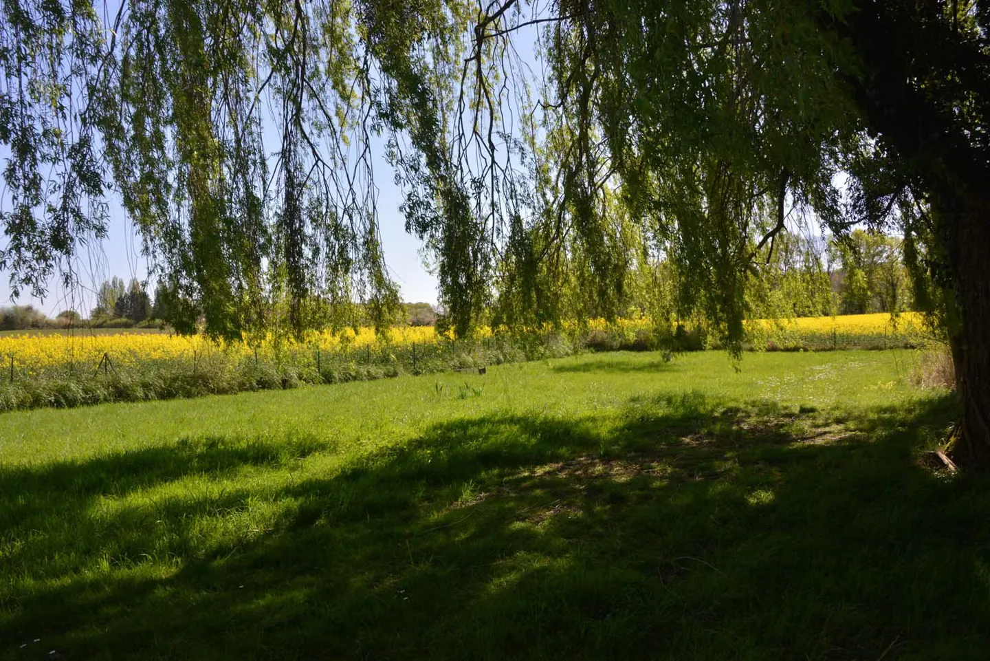 Studio pour 2 personnes avec un étang de 3000m² – Loir-et-Cher