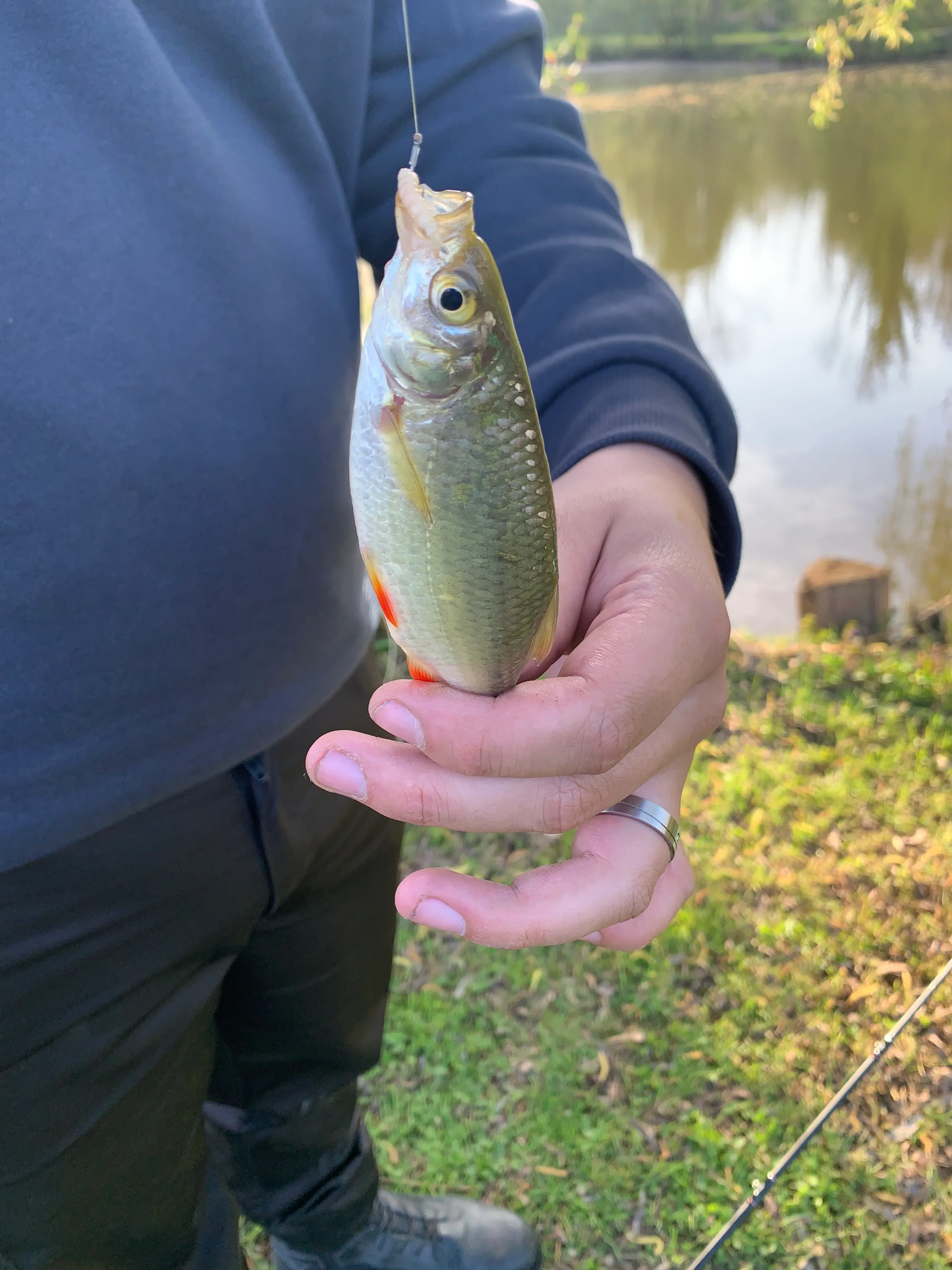 Terrain de loisir avec son étang de pêche