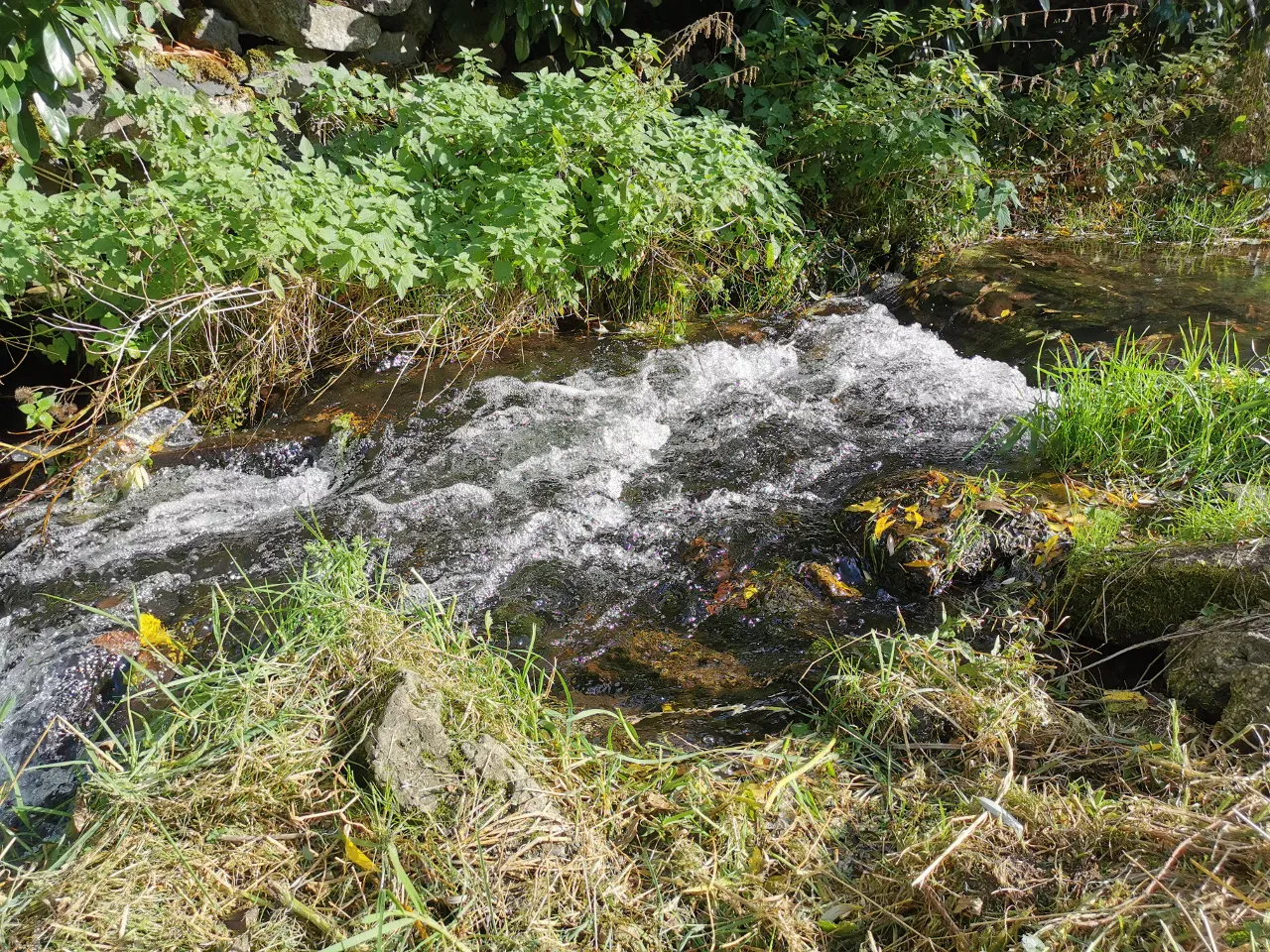 Gite de pêche en bord de rivière sur 1 hectare, proche du puy-en-velay
