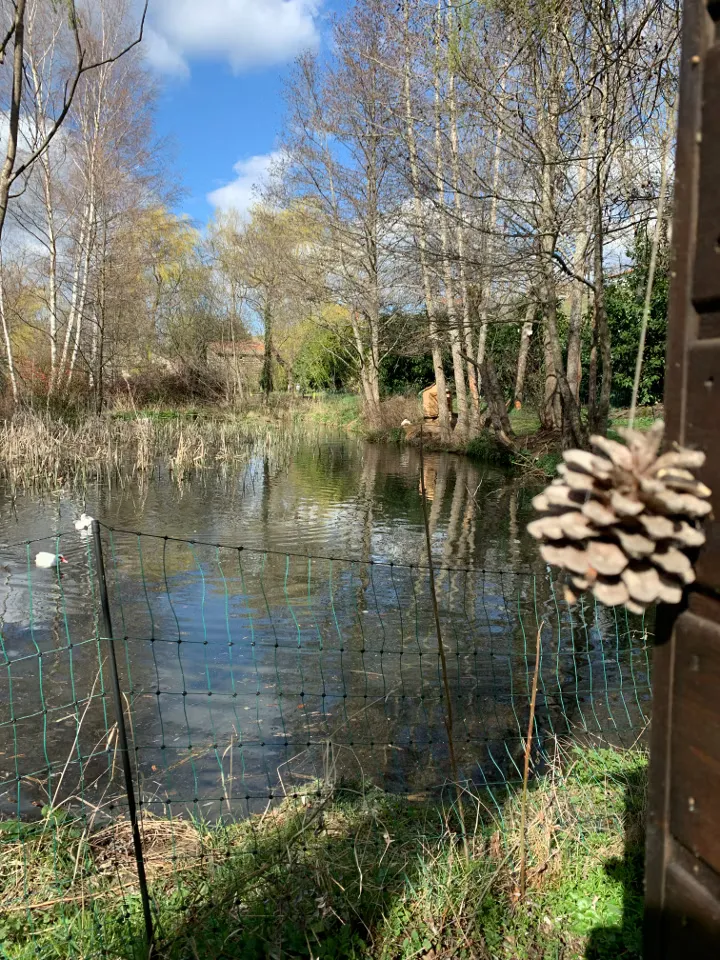 Gite de pêche en bord de rivière sur 1 hectare, proche du puy-en-velay