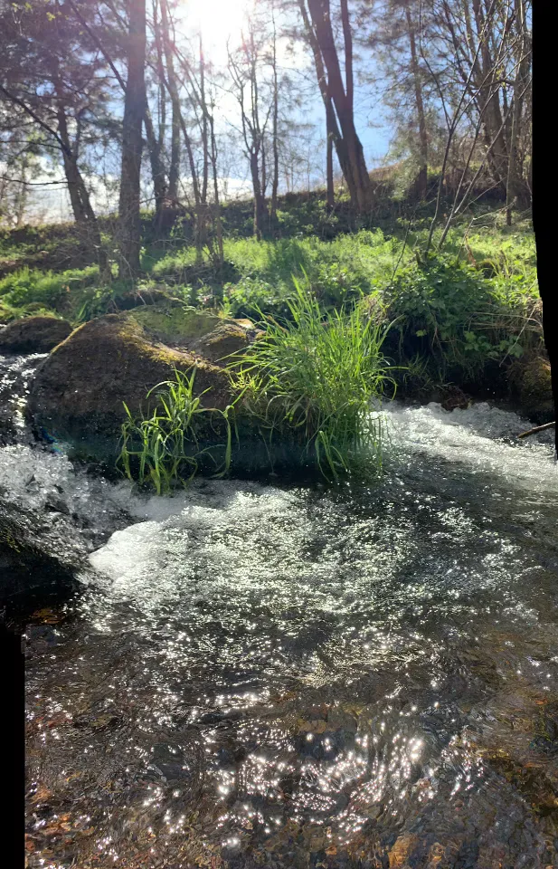yourte de pêche à louer sur 1 hectare, proche du puy-en-velay