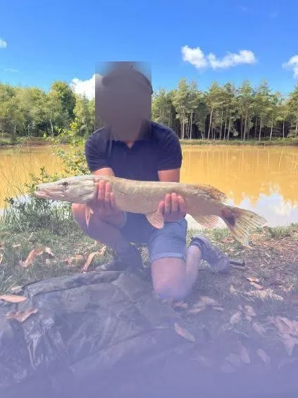 Gîte de pêche avec étang privé de 0,6ha proche de grenoble