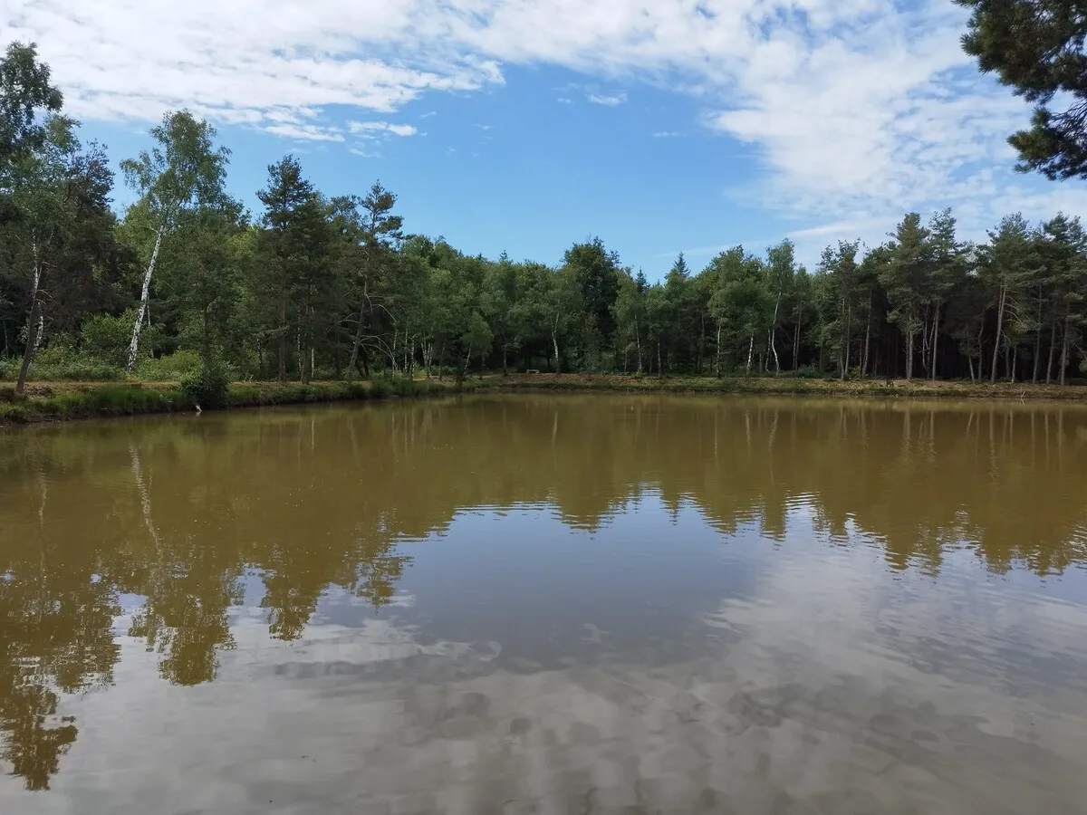 Gîte de pêche avec étang privé de 0,6ha proche de grenoble