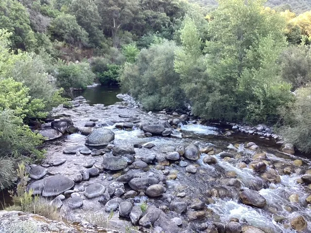 Cabin in the trees by the river near Propriano