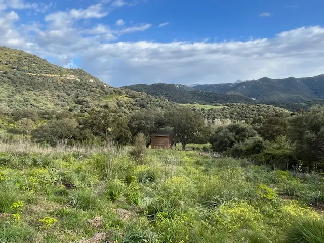 Cabin in the trees by the river near Propriano