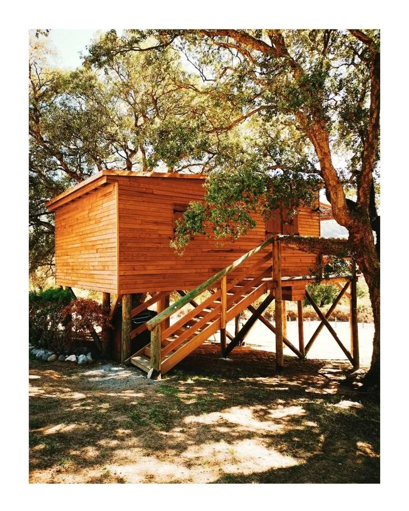 Cabin in the trees by the river near Propriano