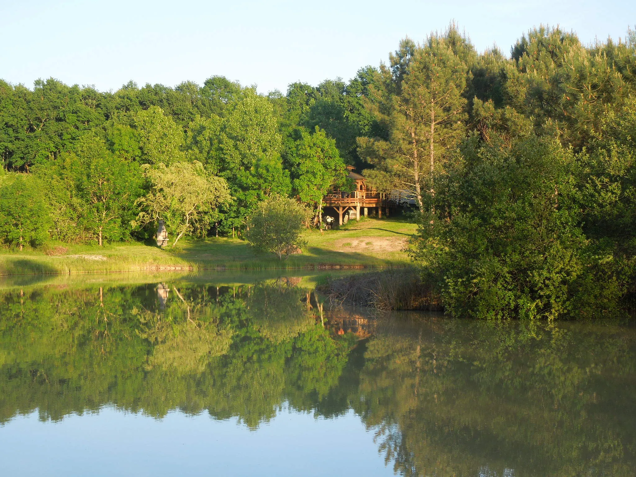 Charming cabin rental with its private pond