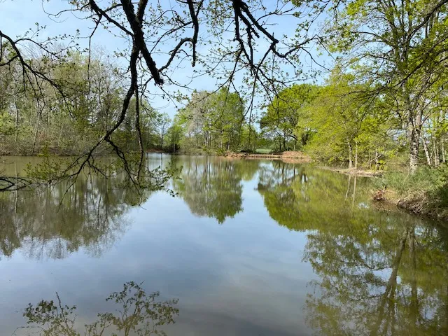 Gîte de pêche sur étang privé de 8000m² à 1h30 de Clermont-Ferrand
