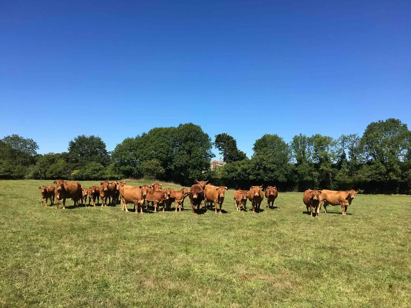 Gite de pêche avec étang privé de 1500m², proche de montluçon, gîte et pêche familiale