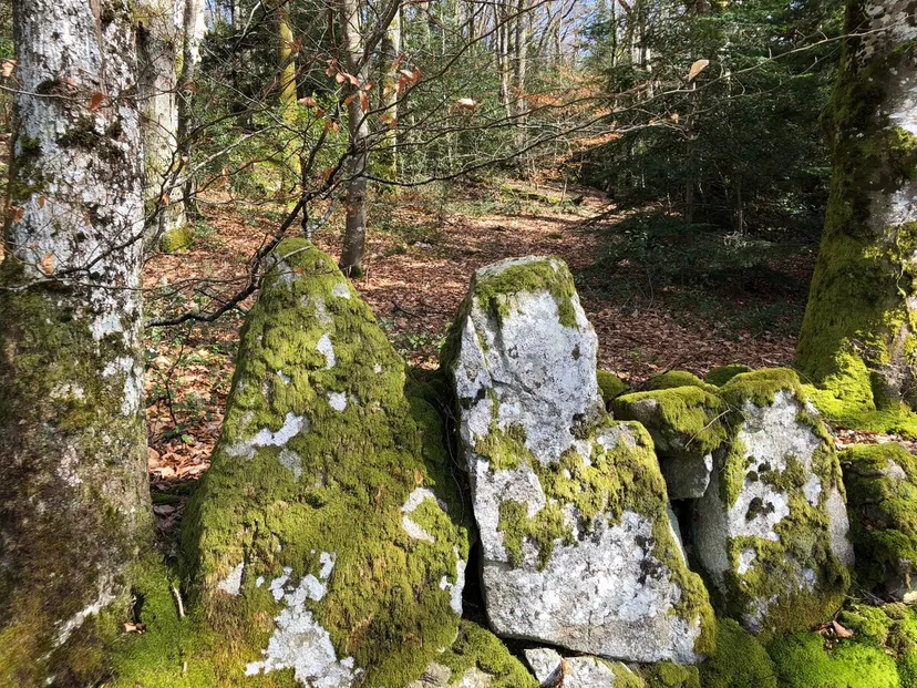 Gite de pêche avec étang privé de 1500m², proche de montluçon, gîte et pêche familiale