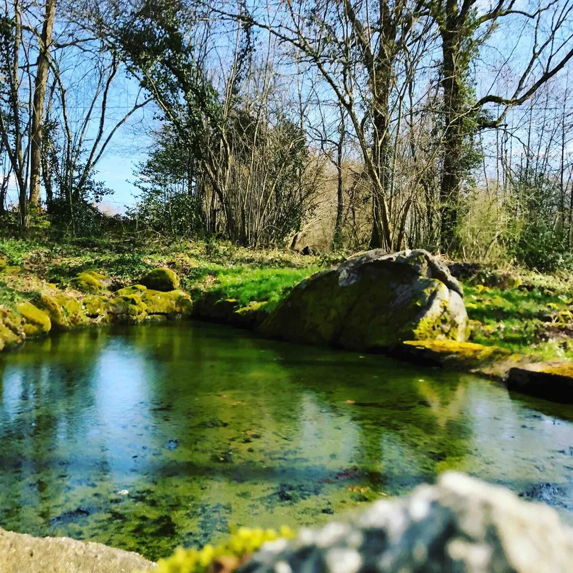 Gite de pêche avec étang privé de 1500m², proche de montluçon, gîte et pêche familiale