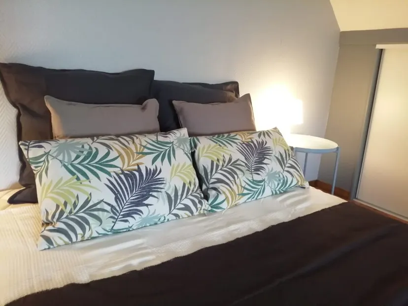 Gite de pêche avec étang privé de 1500m², proche de montluçon, gîte et pêche familiale