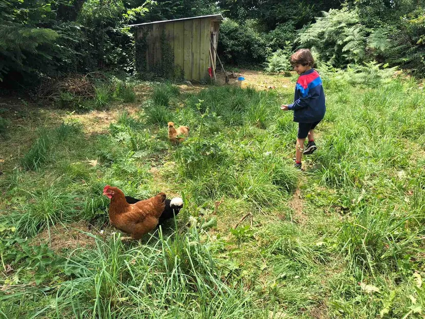 Gite de pêche avec étang privé de 1500m², proche de montluçon, gîte et pêche familiale