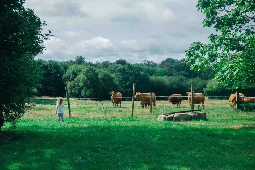 Gite de pêche avec étang privé de 1500m², proche de montluçon, gîte et pêche familiale