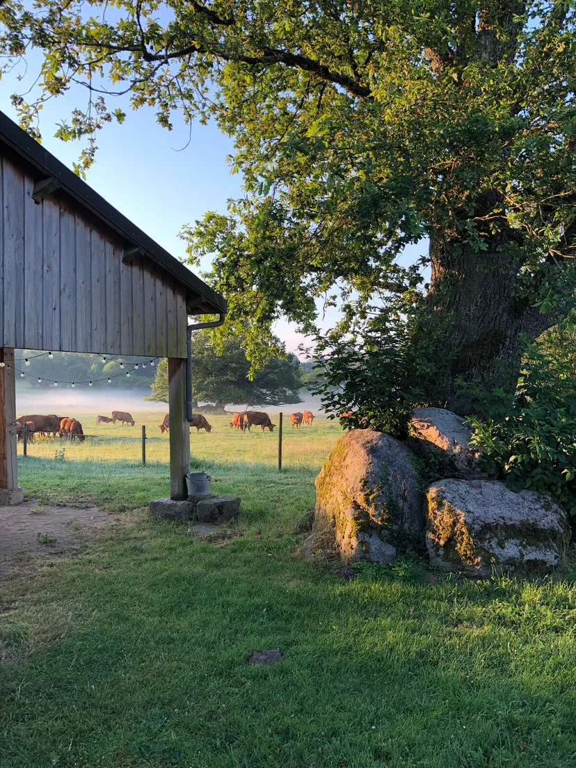 Gite de pêche avec étang privé de 1500m², proche de montluçon, gîte et pêche familiale