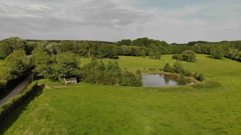 Gite de pêche avec étang privé de 1500m², proche de montluçon, gîte et pêche familiale