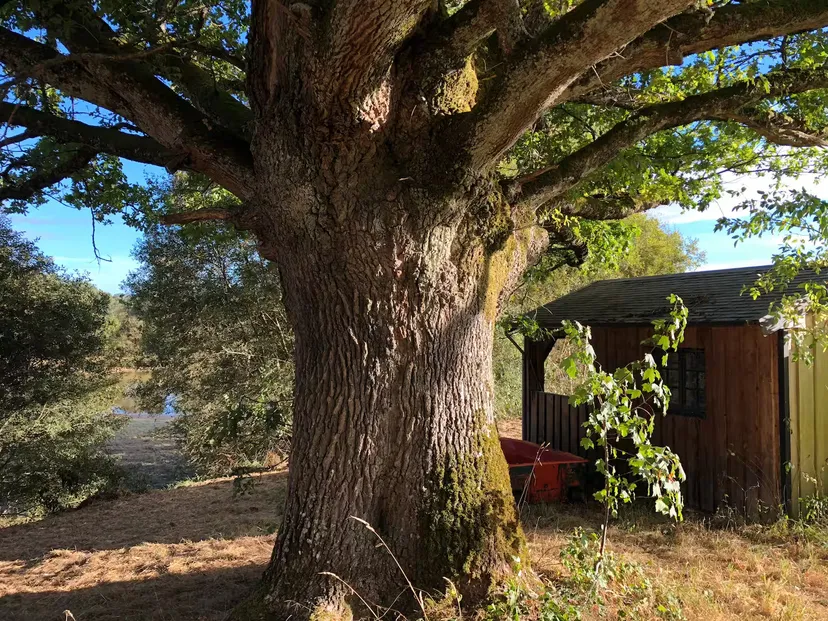 Gîte familial avec étang privatif de 0,15 ha en Nouvelle-Aquitaine