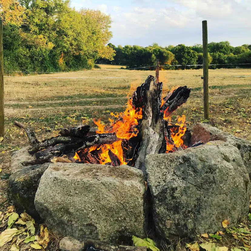 Gîte familial avec étang privatif de 0,15 ha en Nouvelle-Aquitaine