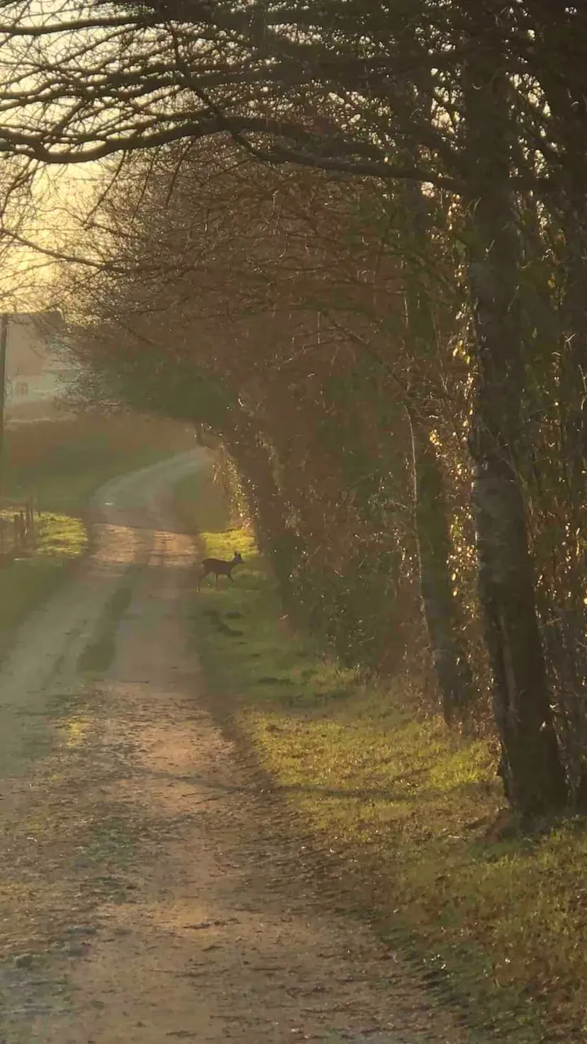 Gîte familial avec étang privatif de 0,15 ha en Nouvelle-Aquitaine