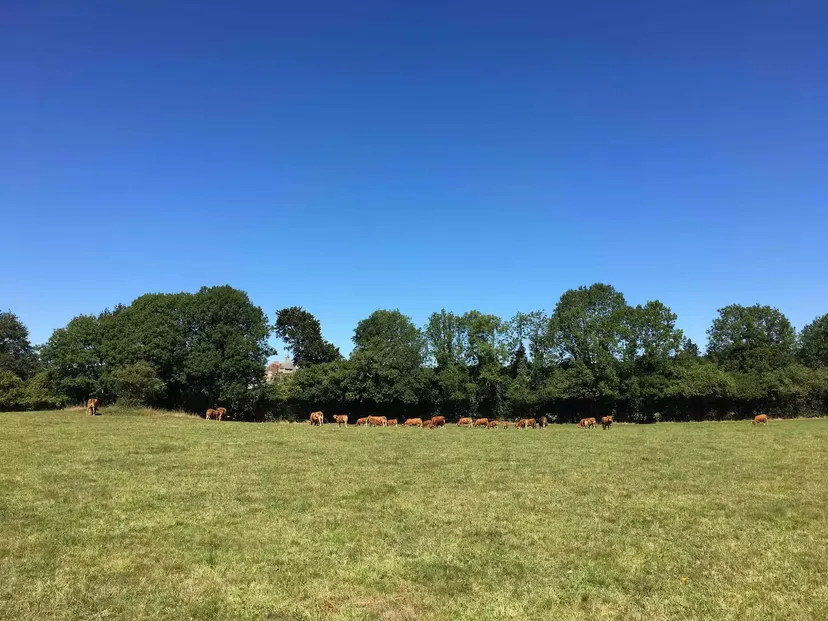 Gîte familial avec étang privatif de 0,15 ha en Nouvelle-Aquitaine